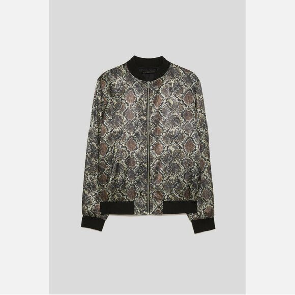 Zara Snake Print Bomber Jacket and Pants 2 Piece Set - Picture 6 of 11